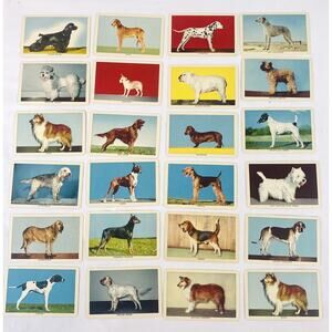Vtg 1955 Peter Paul Walnettos Chiclettoss Coconettos Lot of 24 Trading Cards